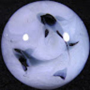 Meet your Posher, Alec